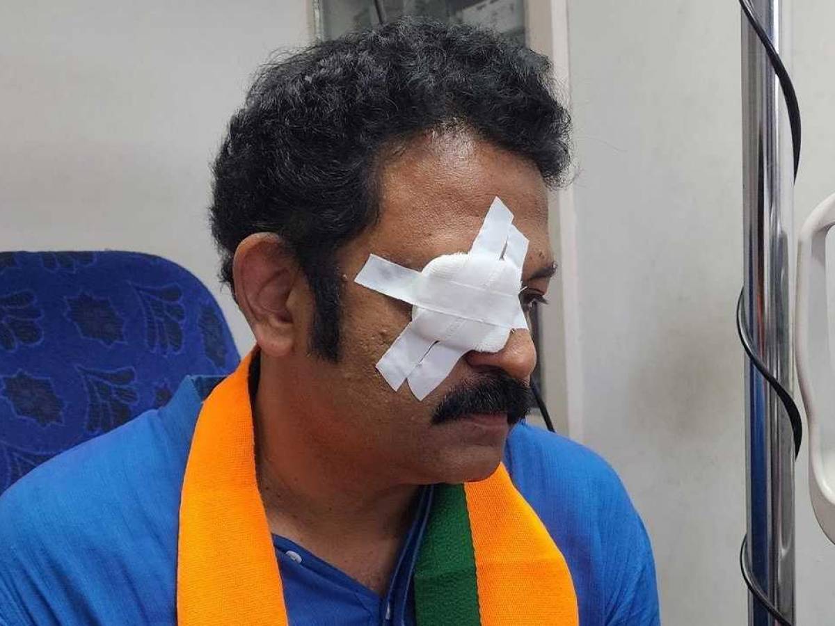 Police Arrest BJP Worker Over NDA Candidate Krishnakumar's Complaint Of ‘Opposition Attack’