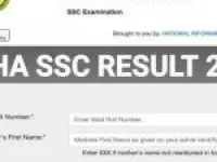 Maharashtra SSC Results: 211 Students Achieve 100%; Marksheets At DigiLocker