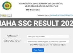 Maharashtra SSC Results: 211 Students Achieve 100%; Marksheets At DigiLocker